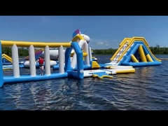 Opblaasbaar het Waterpark van de Bouncia Klassiek Kleur, Reusachtige Opblaasbare Eenhoorn, Grote het Spelleverancier van het Diawater